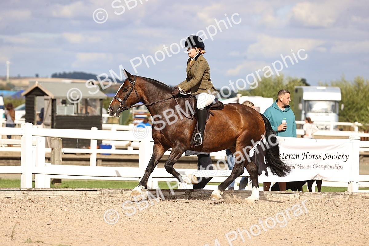 SBM_18048 - Class 422 - Equitation (Best Rider) Jnr