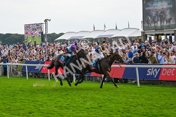 230825-Race 7-Dain Ma Nut In-0926 - Race 7 5.20pm Sky Bet Steve Birch Finale Handicap