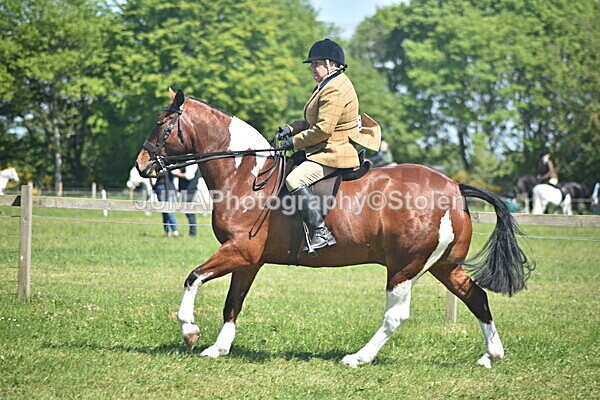 DSC_9122 - Rings 1 & 2