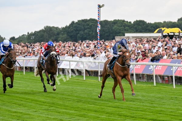 260725-Race 1-Golden Palace-0194 - Race 1 1.25pm £100K ITV7 Jackpot Today EBF Fillies' Novice Stakes