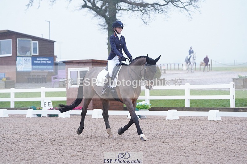 250215-103206-02814 - 143-Charlie.Cornish-Dali.Van.Het.Burghof.Z