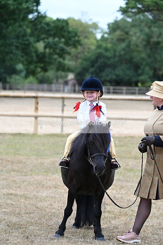 WJ7_8600 - Class 4 Prettiest Mare up to 14.2hh