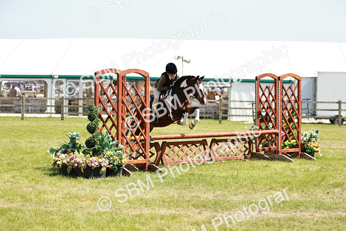 SBM_15468 - Class 108-109 - BSPS LIHS Open Gradle & Nursery Stakes