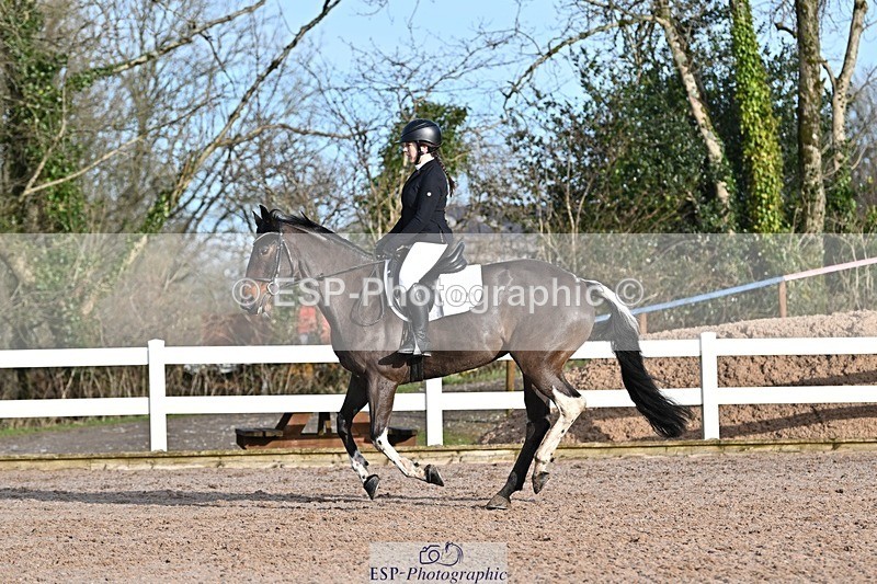 250125-104838-00236 - Dressage - CT Class 4 BE95 (80cm)