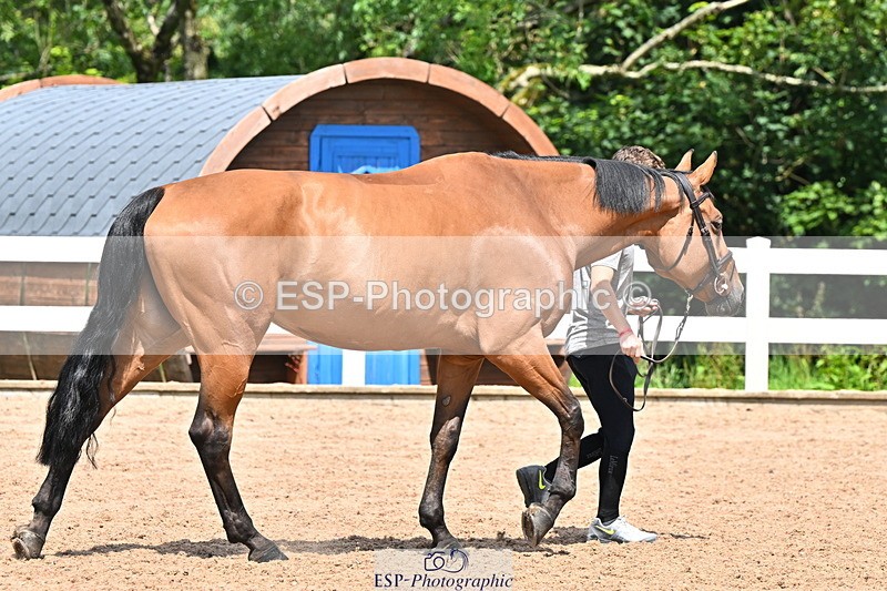 240718A-105310-01647 - Trot Up 1pm to 2pm