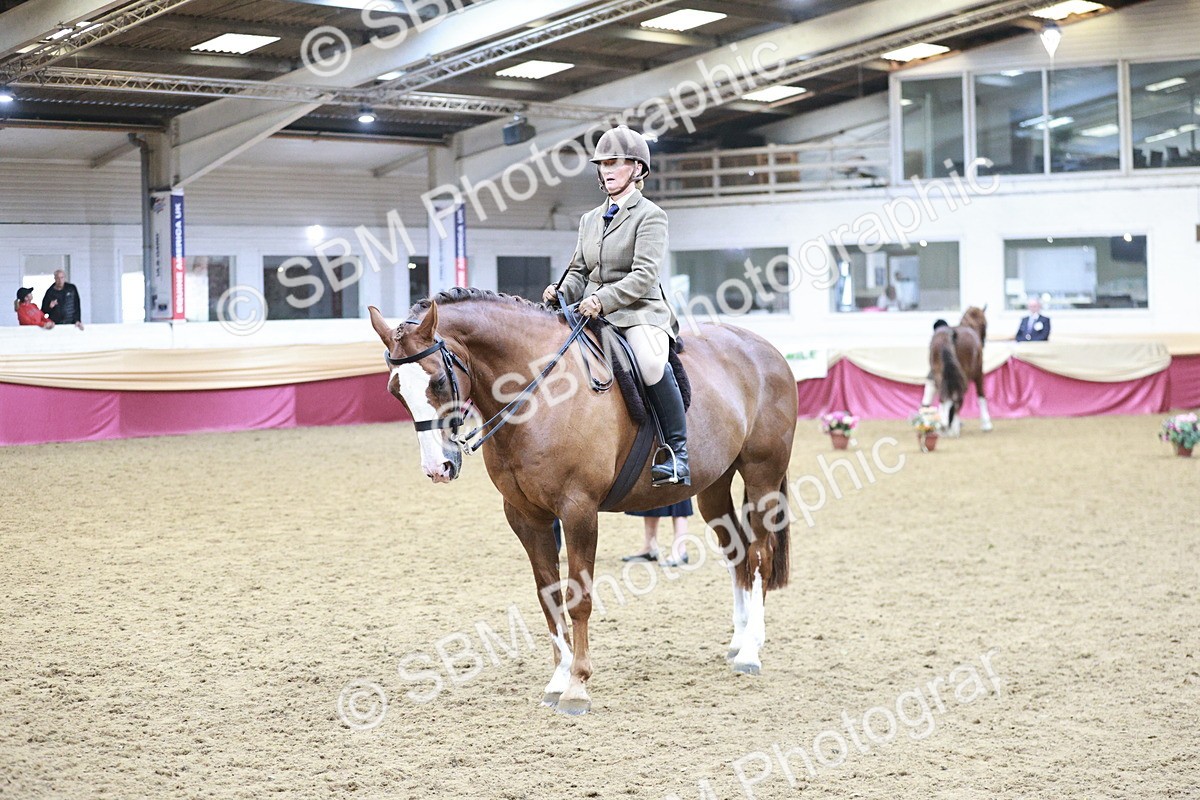 SBM_08956 - Class 12R - Regional Ridden Pre-Vet