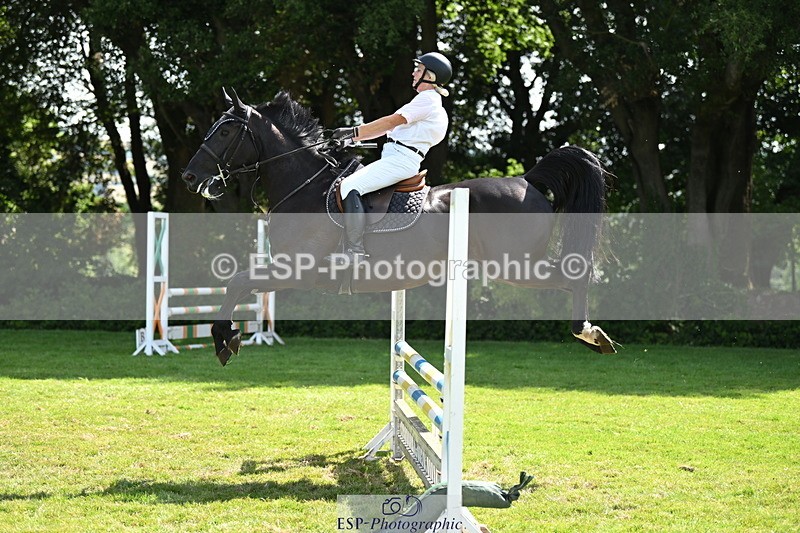 250704A-104227-07039 - Cls 25 Snr British Novice and 90cm