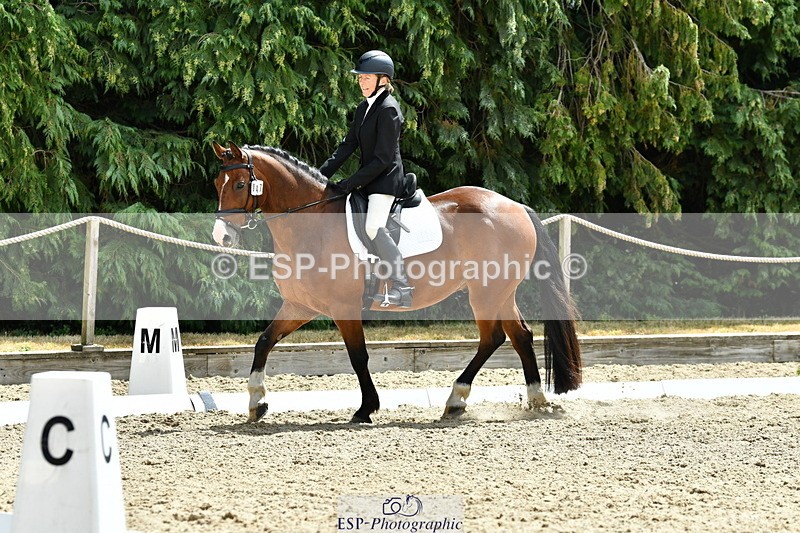 260801A-124431-04043 - Prelim Bronze Break - End