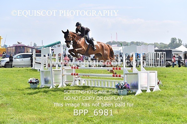 BPP_6981 - CLASS 3 RHS Fox Champ Qual (1.20m)