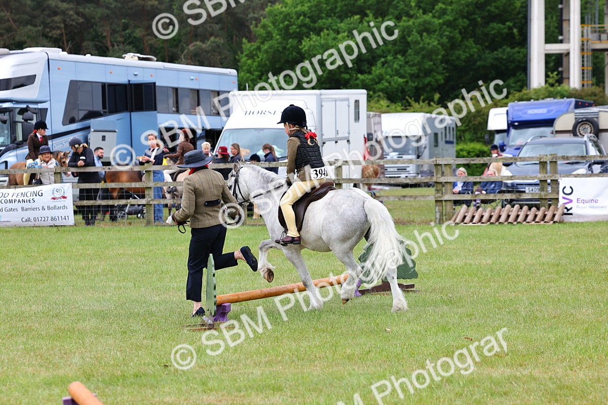 SBM_08210 - Class 42-43 - LIHS BSPS Heritage Working Sports Pony