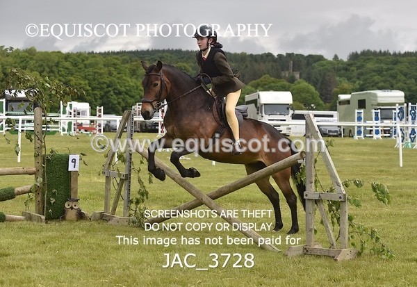 JAC_3728 - 75CM WORKING HUNTER