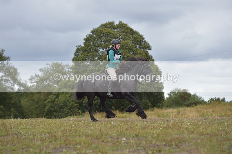 NGP_2763 - XC Time 11:37 to 11:57