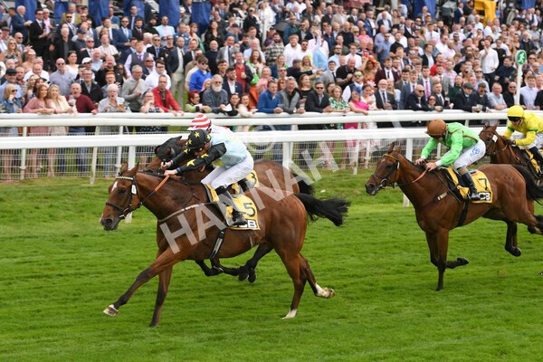 yr11062022r3-20 - Race 3 2.35pm The JCB Stakes
