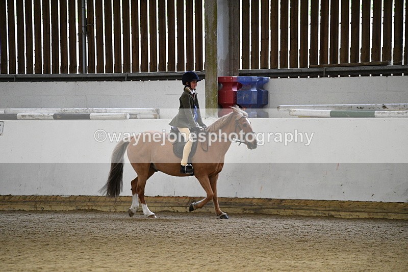 WJ5_7393 - Class 11 Ridden PC - RC Pony