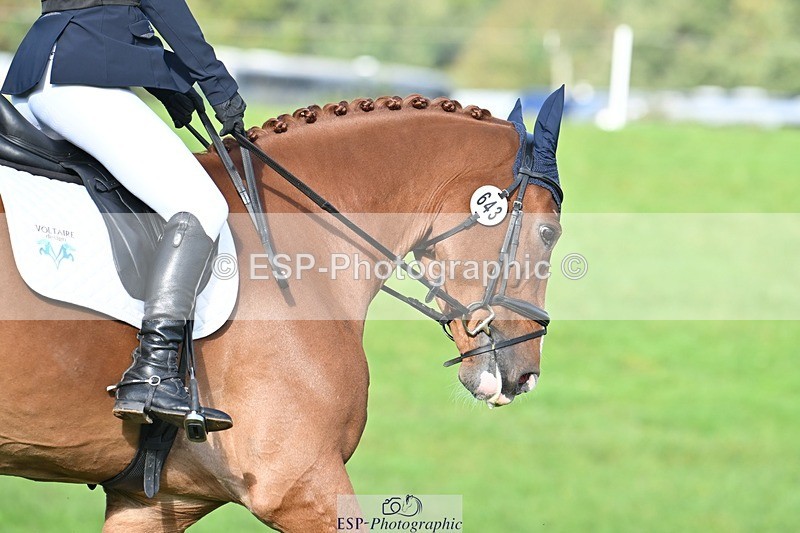 231020-105559-07747 - 643-MIH.TOPGUN-Ellie.Nicholson-DR