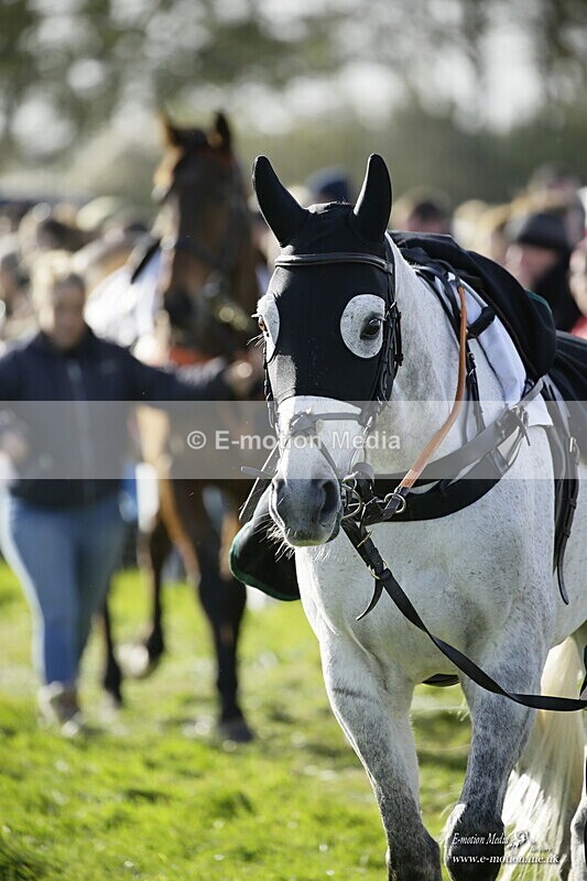 PtP 250921 0286 - Point-to-Point Badbury Rings Dorset 07/11/2021