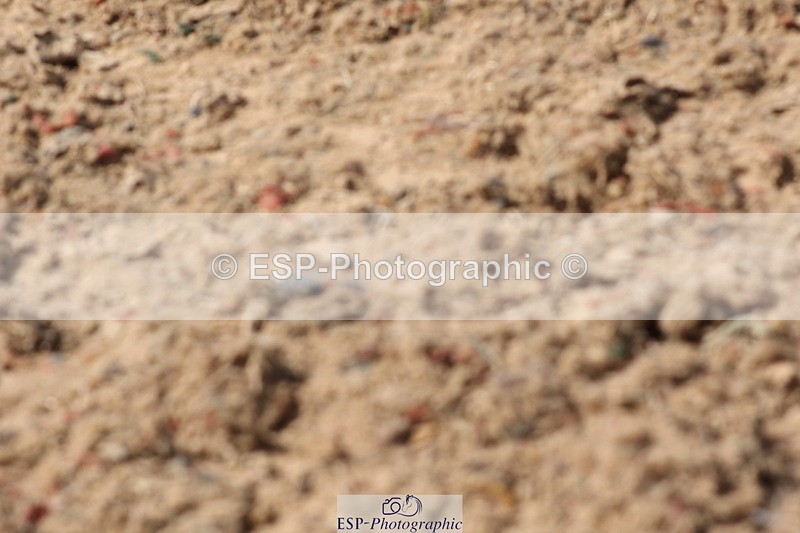 240622A-162201-14612 - Cls 36 BD Adv Medium 98