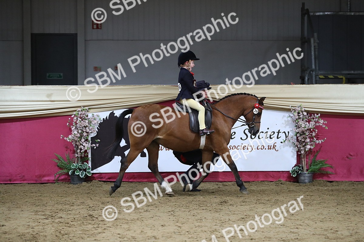 SBM_08487 - Class 11R Regional Ridden Veteran