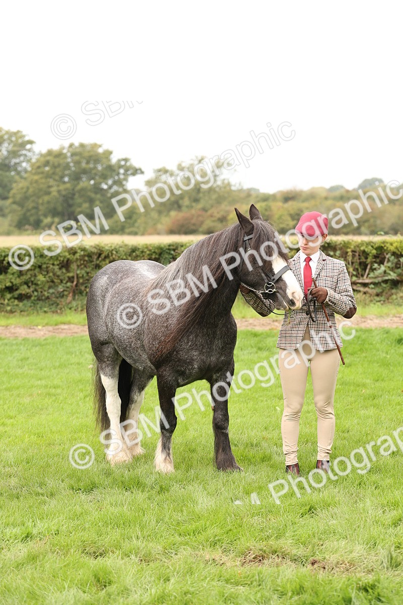 SBM_59309 - S57 - Traditional Cob In Hand