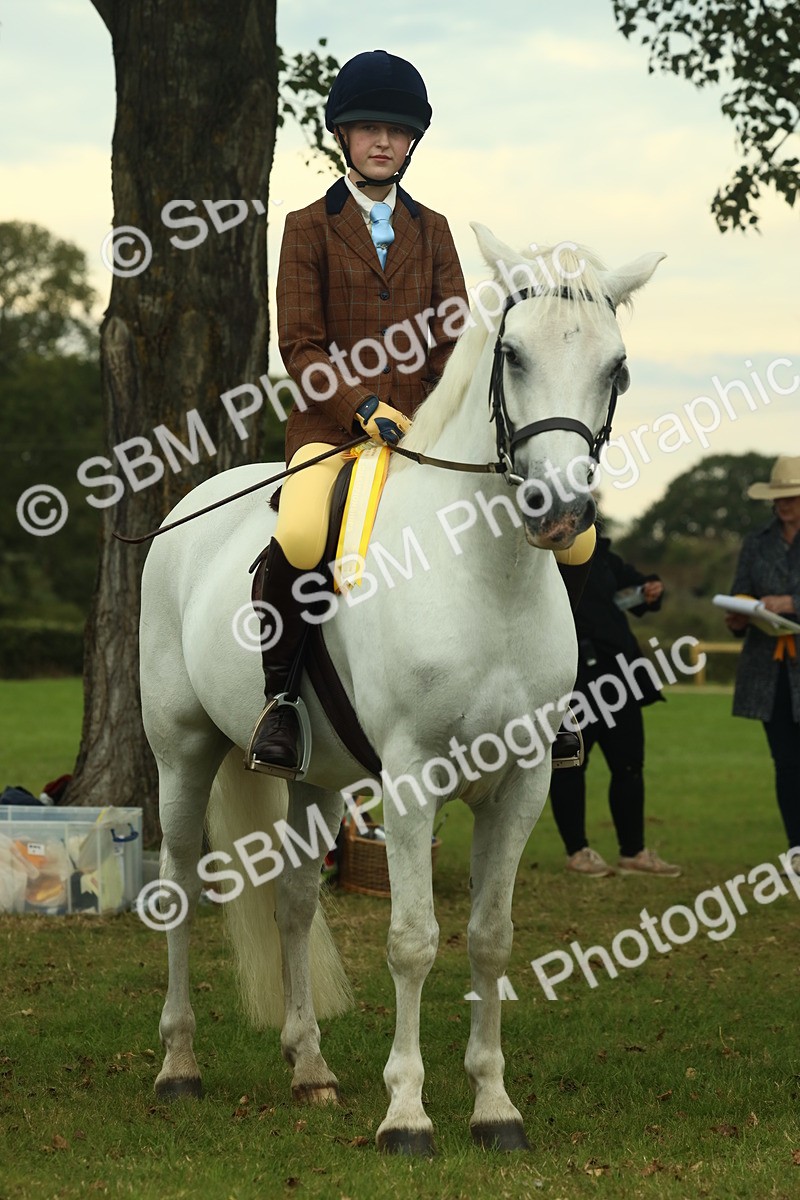 SBM_72329 - S60 - Mountain & Moorland Ridden Large Breeds