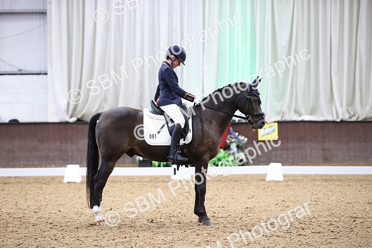 SBM_008324 - Class 15 - FEI Junior Pony Team-YR-COH