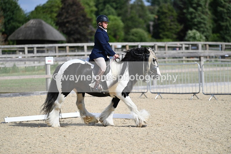 WJ5_7719 - Time 16:40 to 16:55