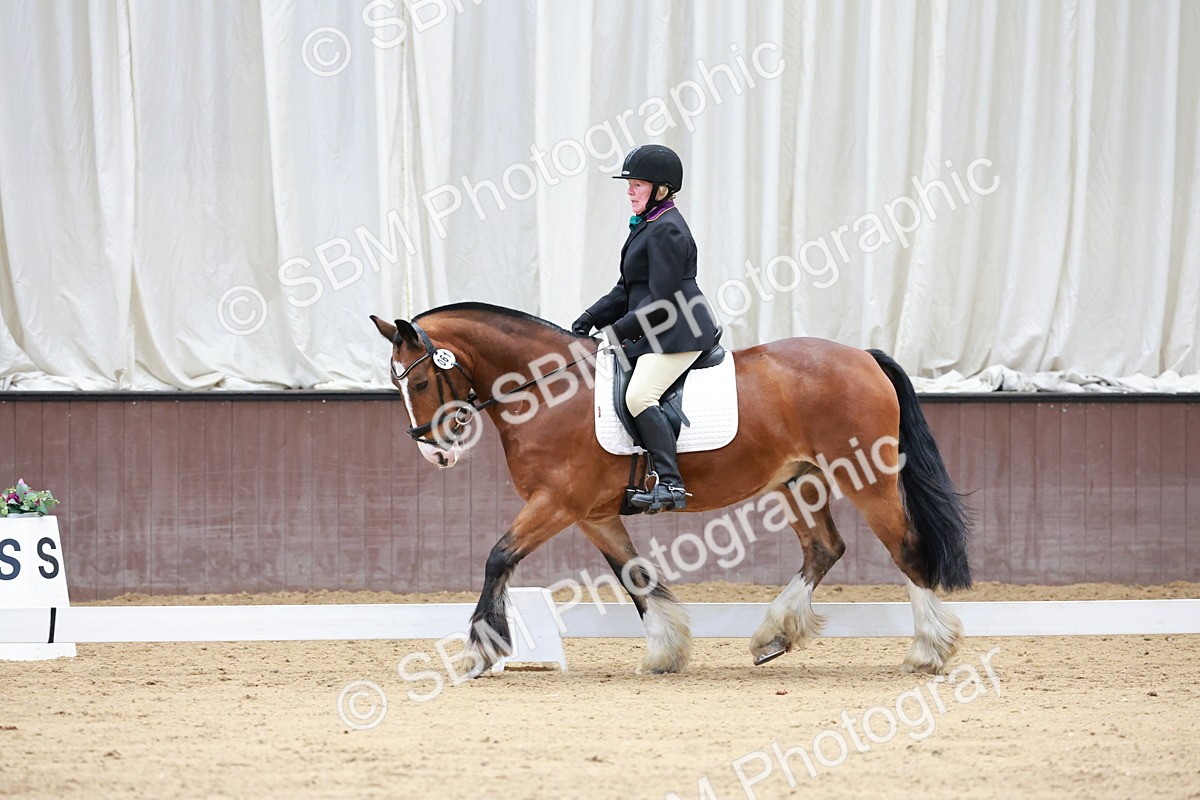 SBM_008091 - Class 6b - Novice 6 - 9.28-10.41