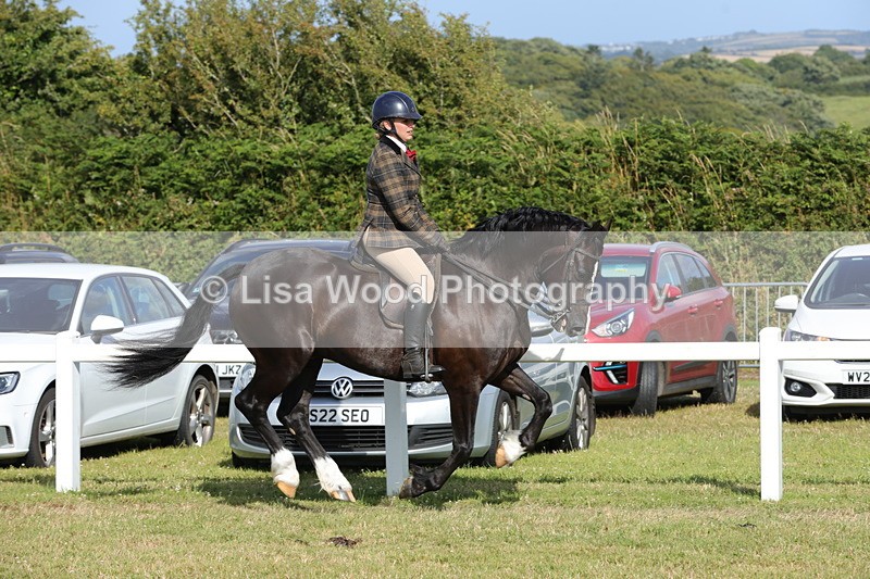 1X9A6024 - Class 43: NPS Welsh C & D