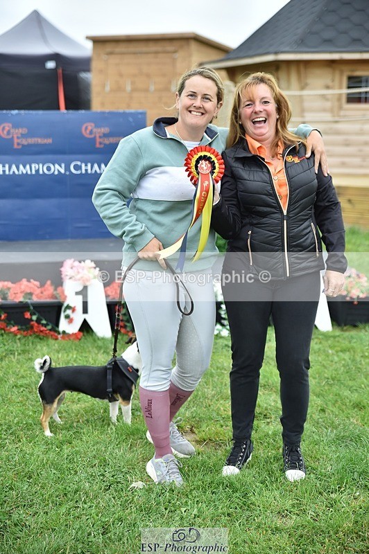 240831A-163346-05218 - 80 Presentations