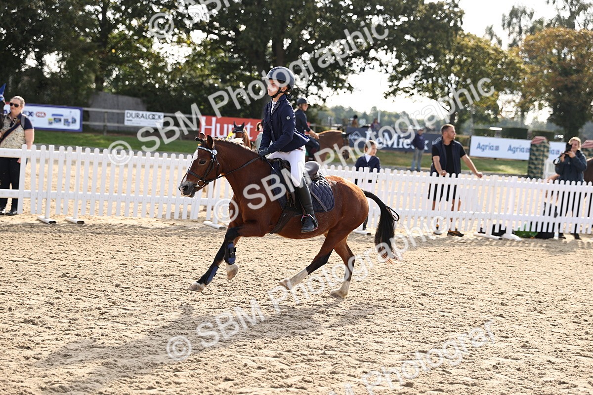 SBM_59808 - J11 - Junior Pony 50cm Championship