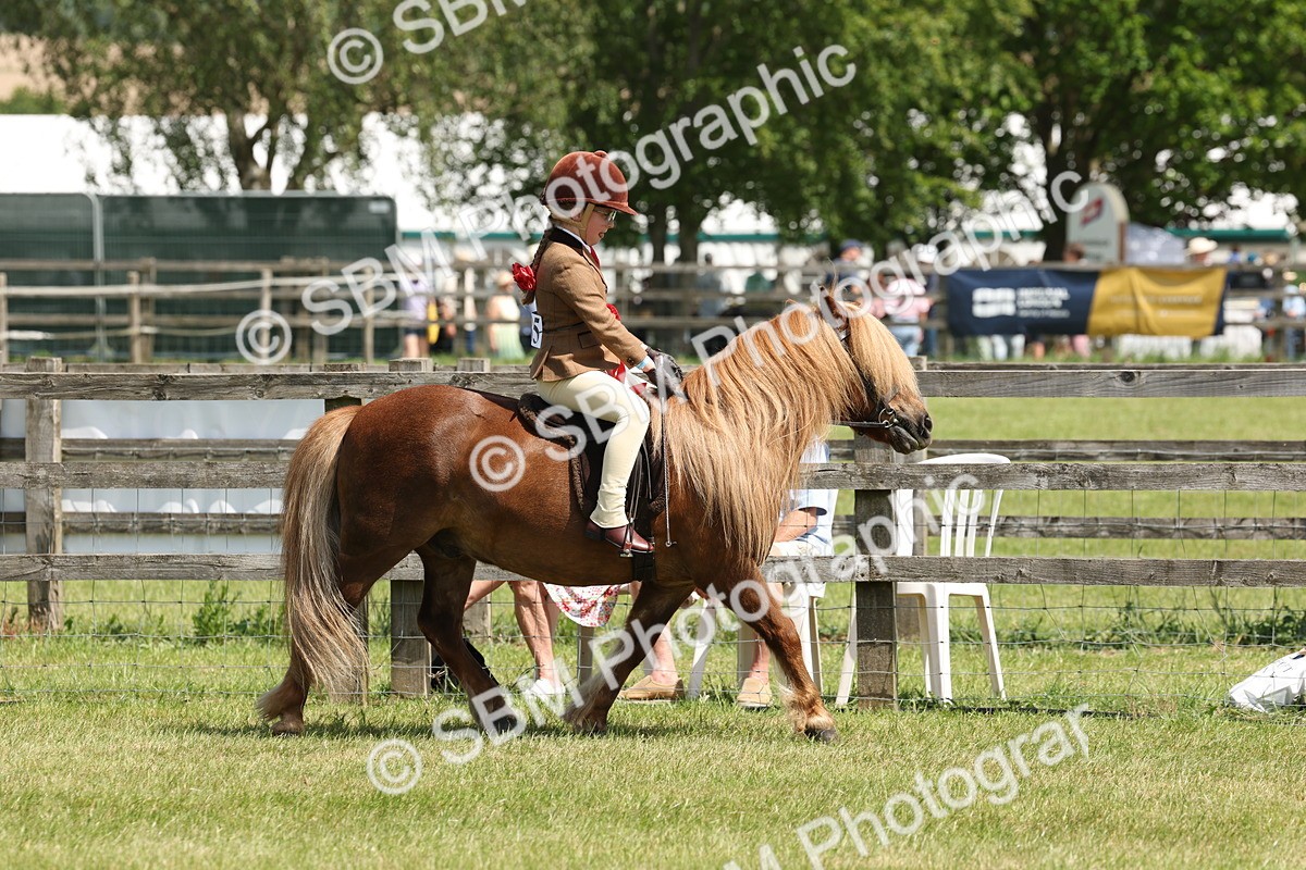 SBM_05381 - Class 24-25 - Mountain & Moorland In Hand Lead Rein and First Ridden