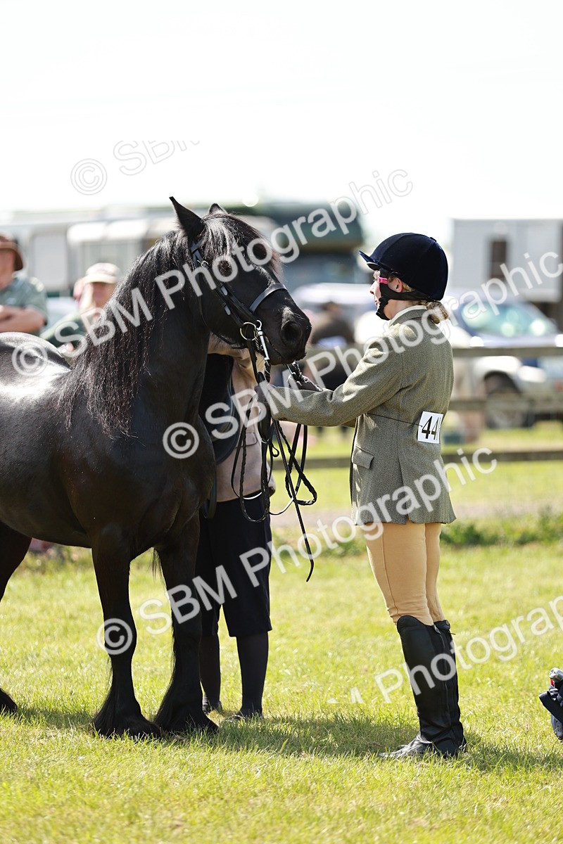 SBM_07190 - Class 26-30 - Mountain and Moorland Ridden