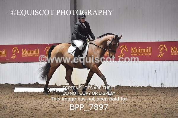 BPP_7897 - INTRO TEST 3