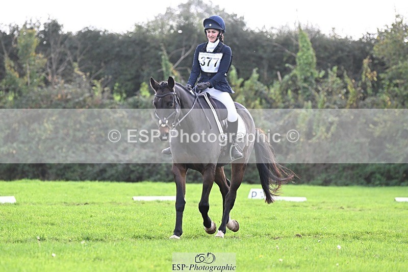 241025-132055-09969 - 377-Bethany.Hull-CARRICK.DIAMOND.OLIVER