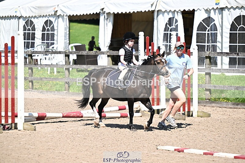 240729B-114033-02482 - Showjumping Competition