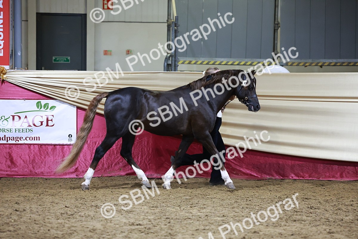 SBM_21507 - Class V - Champion of Champions