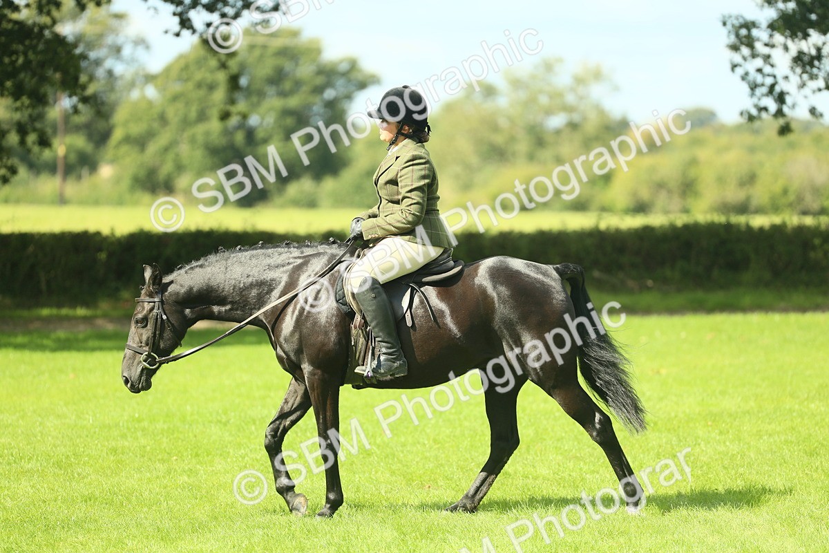 SBM_42086 - S29 - Novice & Newcomers Working Hunter Pony