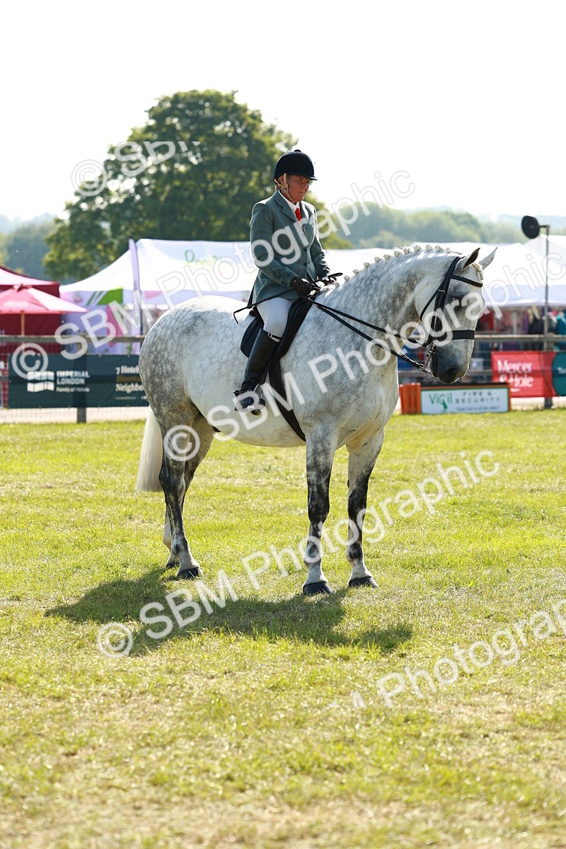 SBM_11840 - Class 66-69 - RIHS Ridden Hunters Inc Small Hunter