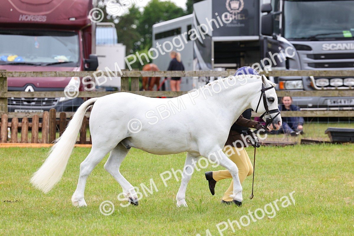 SBM_09511 - Class 44-45 - LIHS BSPS Open Nursery and Cradle Stakes