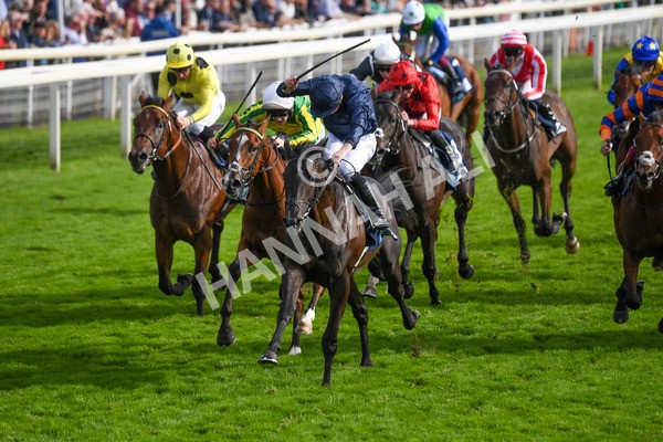 250823-Race 6-Battle Cry-1032 - Race 6 4.45pm British EBF 40th Anniversary Convivial Maiden Stakes