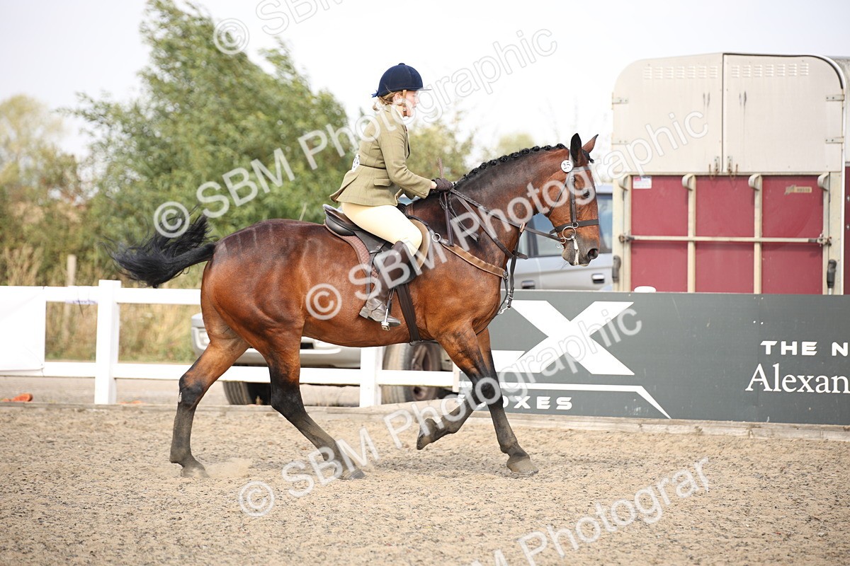 SBM_14345 - Class 407b - Working Veteran 60cm (20+)