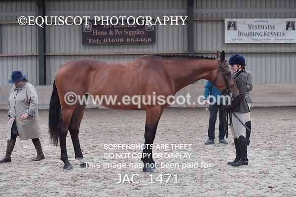JAC_1471 - CLASS 9 BHS Scotland Riding Club Working Hunter Qualifier (1.00m)