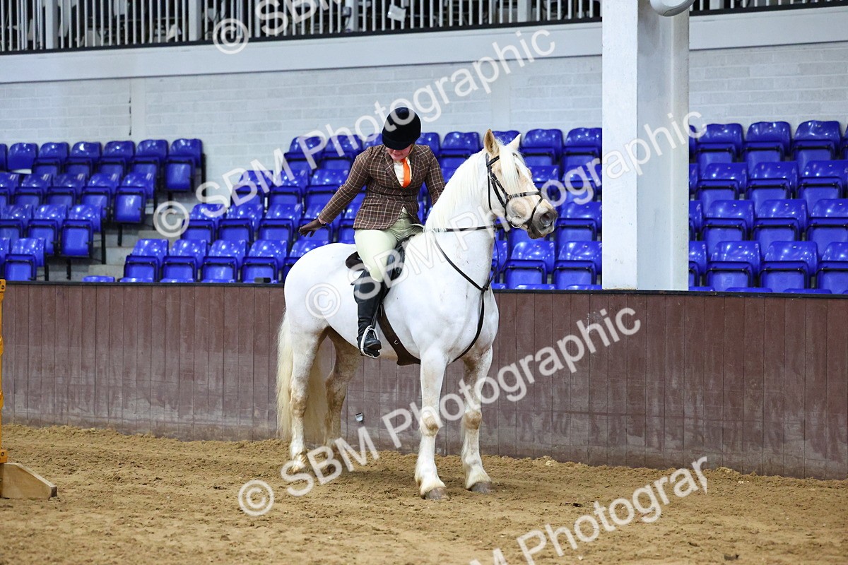 SBM_003620 - Class 37 - 80cm Training Stakes