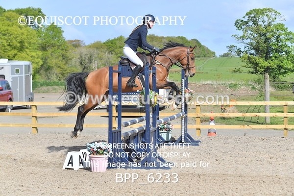 BPP_6233 - CLASS 32 MON Club/ Unaffiliated 80cms Open