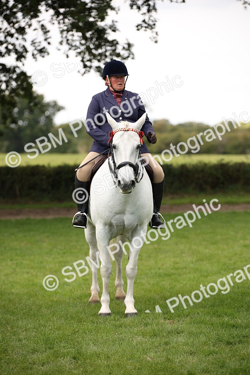 SBM_65954 - S64 - Riding Horse & Hack & Thoroughbred Ridden