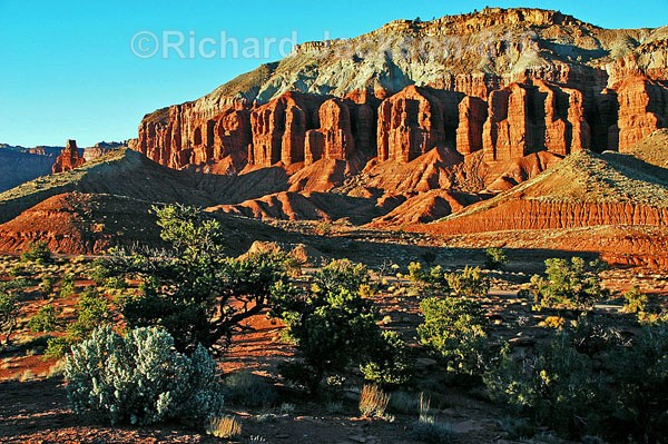 Fluted Sandstone - Capital Reef National Park