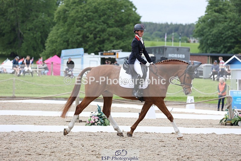 240523-150526-03025 - 233-SILVESTERS_FINESSE-Rosalind_Canter