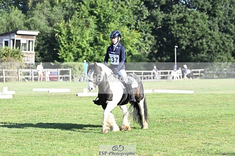 250821A-090250-13140 - DR 9.00 to 10.00