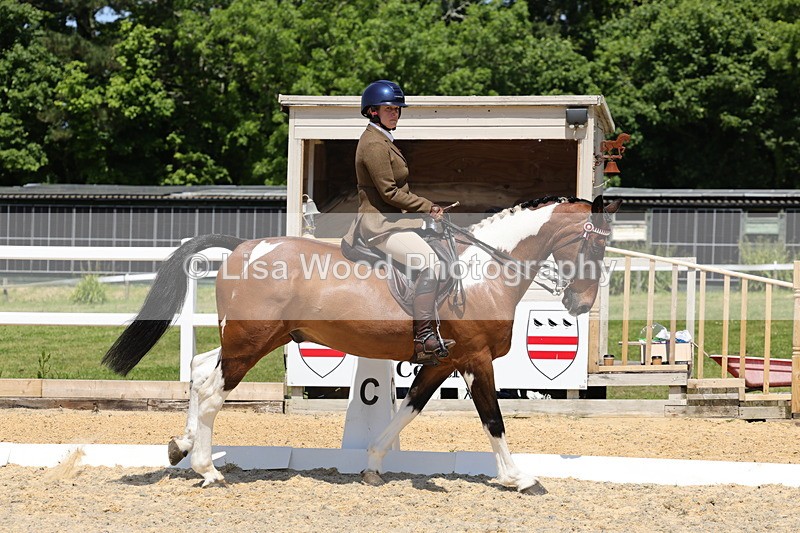 1X9A1846 - Class 12: Ridden Riding Horse/Hack