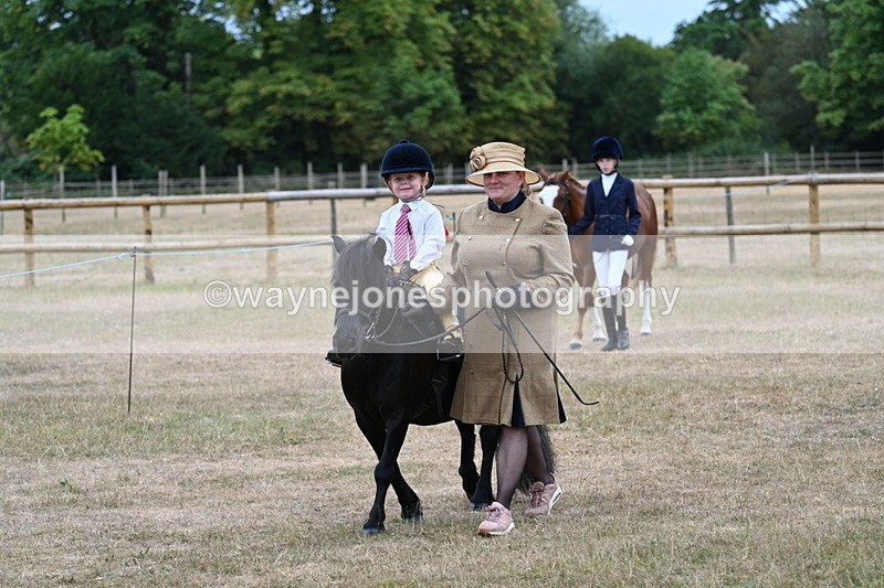 WJ7_7989 - Class 4 Prettiest Mare up to 14.2hh